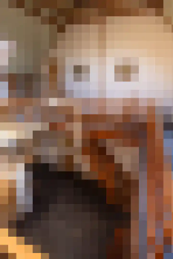 Bronsbergen 4 a Zutphen thumbnail 25