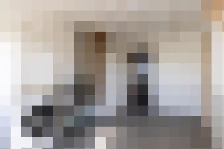 Bronsbergen 4 a Zutphen thumbnail 42