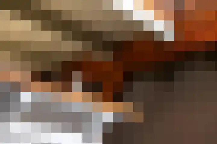 Bronsbergen 4 a Zutphen thumbnail 44