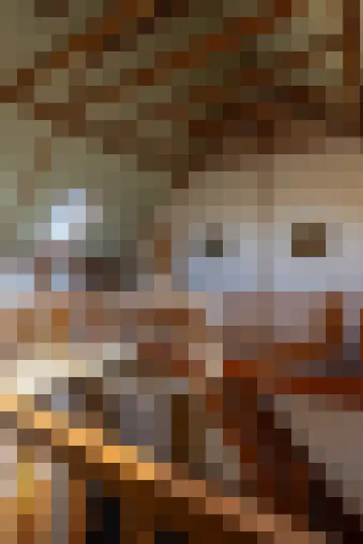 Bronsbergen 4 a Zutphen thumbnail 47