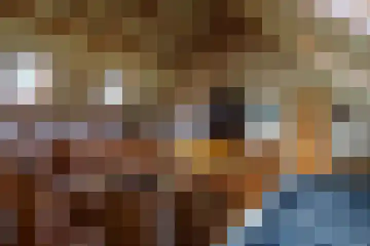 Bronsbergen 4 a Zutphen thumbnail 48