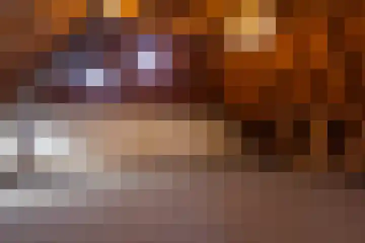 Bronsbergen 4 a Zutphen thumbnail 50