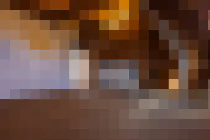 Bronsbergen 4 a Zutphen thumbnail 51