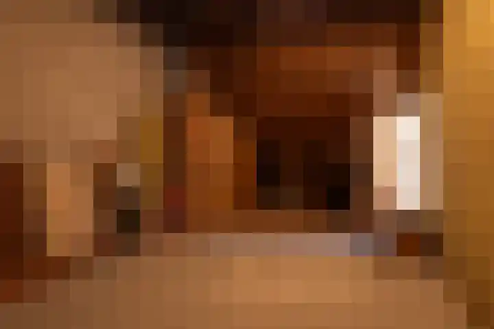Bronsbergen 4 a Zutphen thumbnail 53