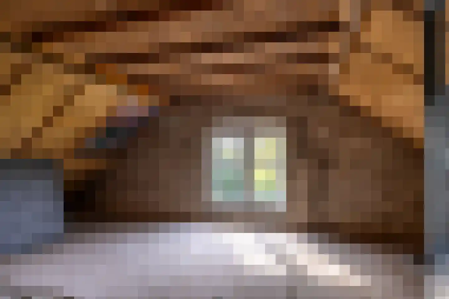 Bronsbergen 4 a Zutphen thumbnail 56