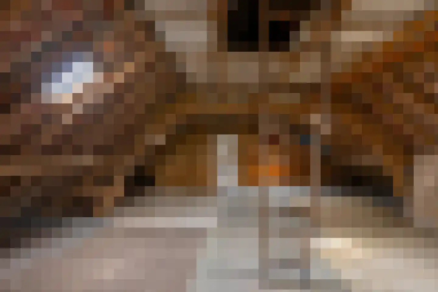 Bronsbergen 4 a Zutphen thumbnail 57
