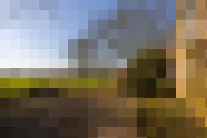Bronsbergen 4 a Zutphen thumbnail 57