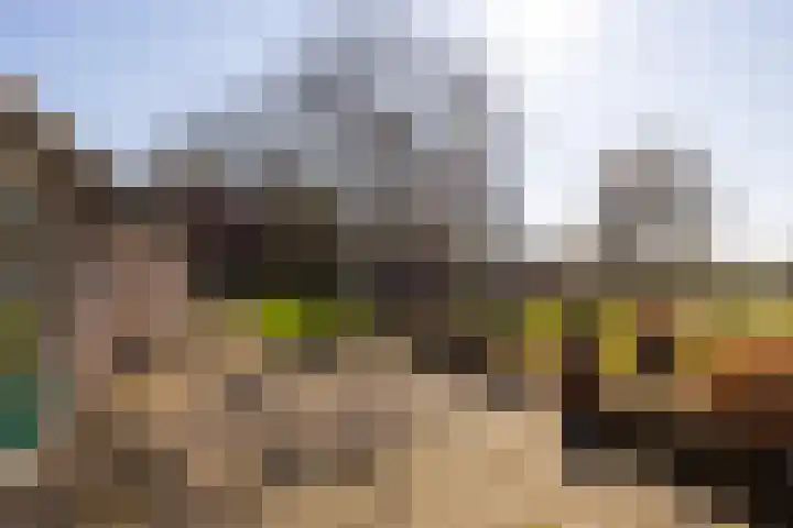 Bronsbergen 4 a Zutphen thumbnail 58