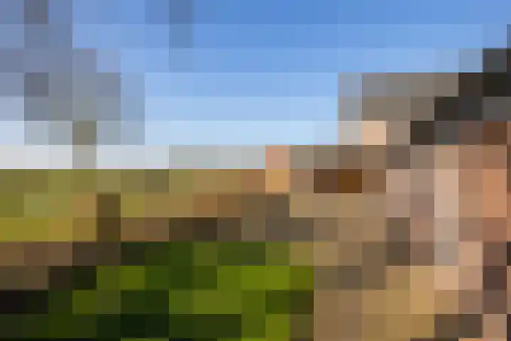 Bronsbergen 4 a Zutphen thumbnail 59