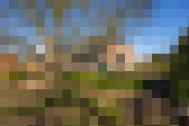 Bronsbergen 4 a Zutphen thumbnail 62
