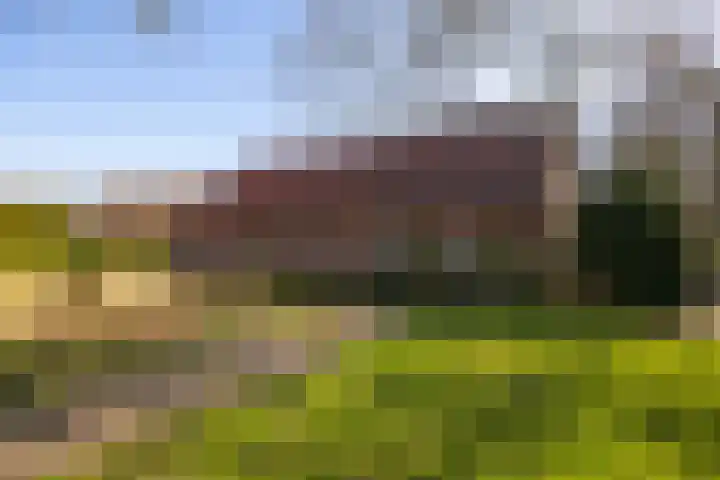 Bronsbergen 4 a Zutphen thumbnail 63