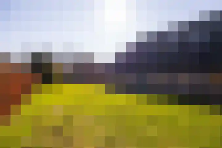 Bronsbergen 4 a Zutphen thumbnail 64