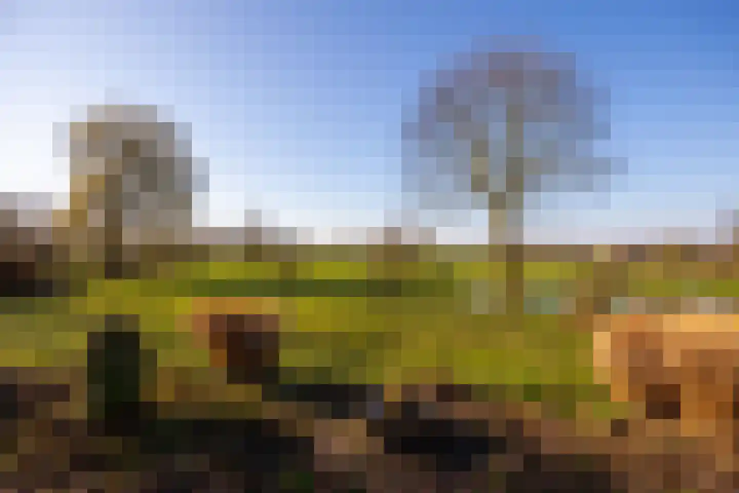 Bronsbergen 4 a Zutphen thumbnail 65