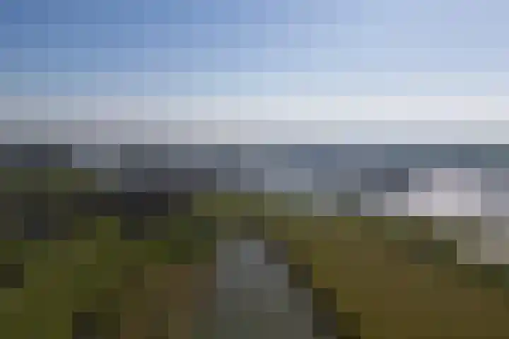 Bronsbergen 4 a Zutphen thumbnail 65