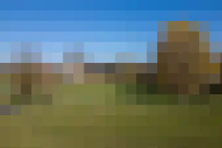 Bronsbergen 4 a Zutphen thumbnail 67