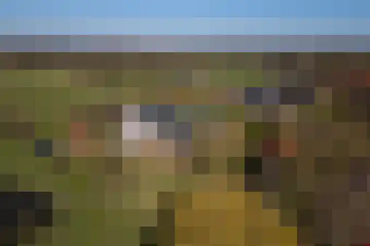 Bronsbergen 4 a Zutphen thumbnail 68