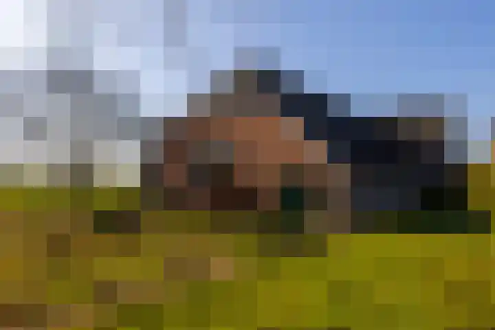 Bronsbergen 4 a Zutphen thumbnail 70