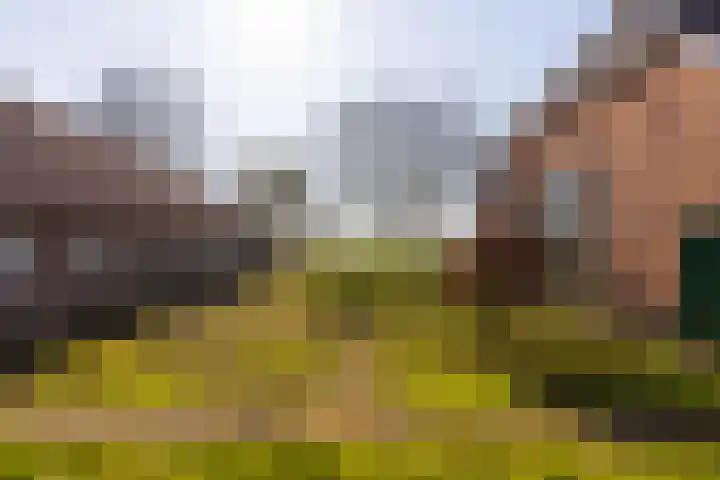Bronsbergen 4 a Zutphen thumbnail 71
