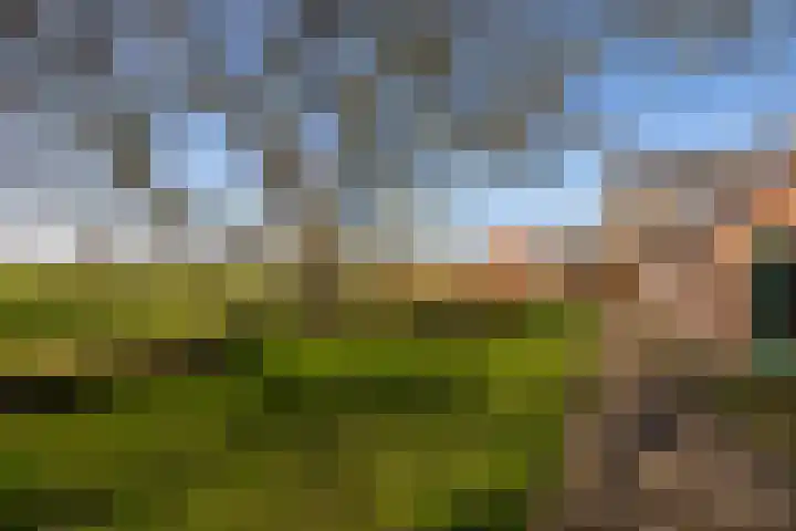 Bronsbergen 4 a Zutphen thumbnail 72