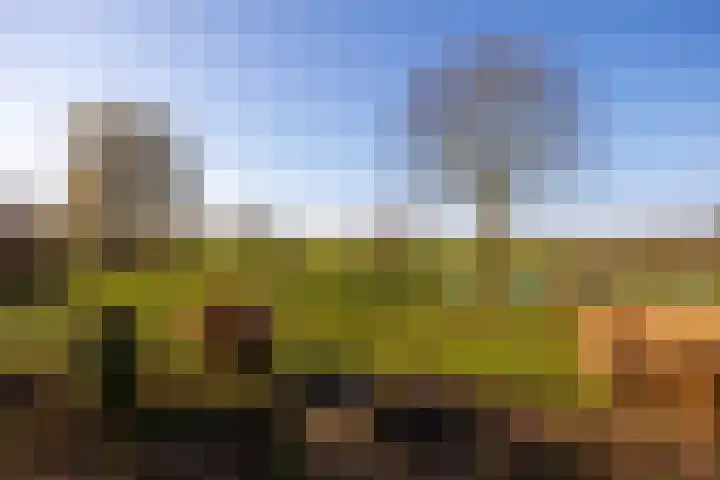 Bronsbergen 4 a Zutphen thumbnail 73