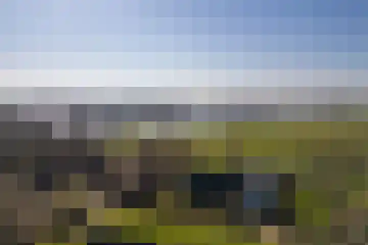 Bronsbergen 4 a Zutphen thumbnail 74