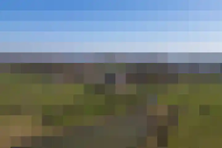 Bronsbergen 4 a Zutphen thumbnail 75