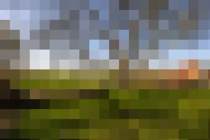 Bronsbergen 4 a Zutphen thumbnail 80