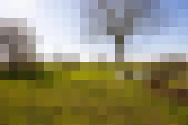 Bronsbergen 4 a Zutphen thumbnail 81