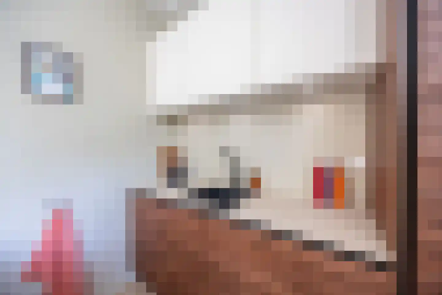 Bronsgeeststraat 11 Nijmegen thumbnail 15