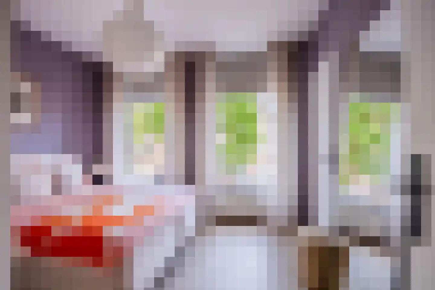 Bronsgeeststraat 11 Nijmegen thumbnail 22