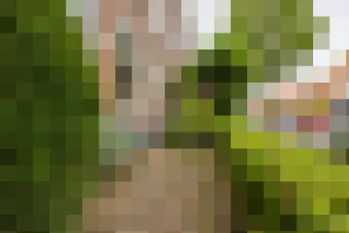 Bronsgeeststraat 53 Nijmegen thumbnail 4