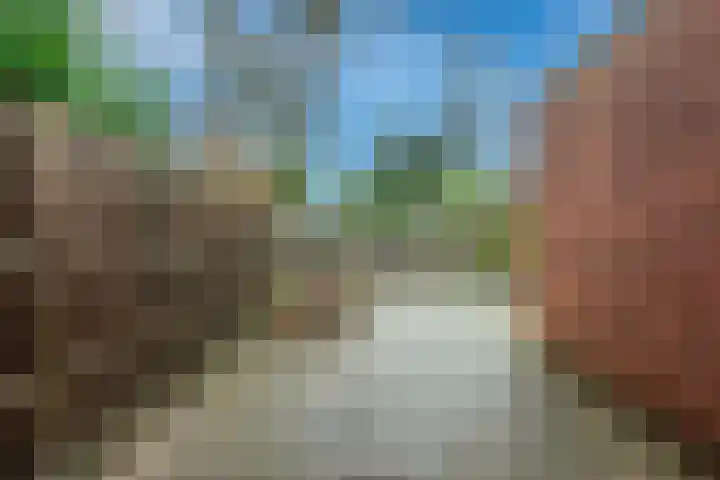 Bronsgietersdonk 218 Apeldoorn thumbnail 11