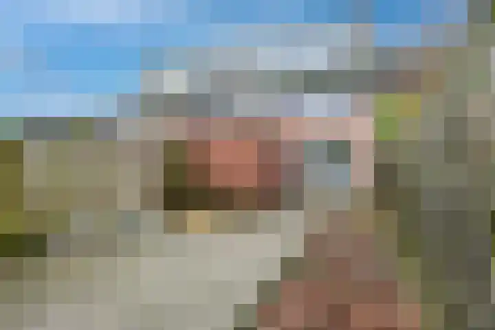 Bronsgietersdonk 218 Apeldoorn thumbnail 13