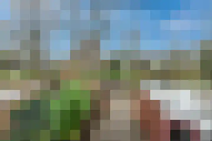 Bronsgietersdonk 218 Apeldoorn thumbnail 17