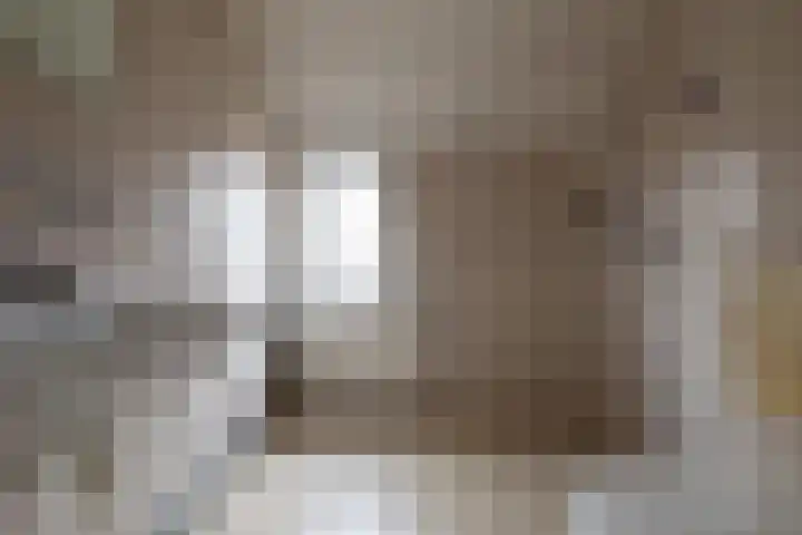 Bronsgietersdonk 218 Apeldoorn thumbnail 23