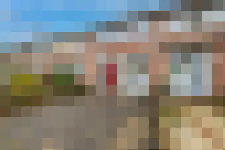 Bronsgietersdonk 218 Apeldoorn thumbnail 4