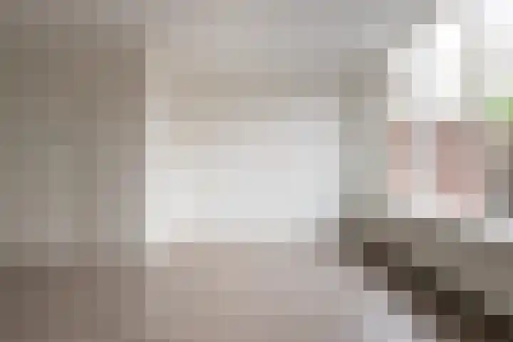 Bronsgietersdonk 218 Apeldoorn thumbnail 8
