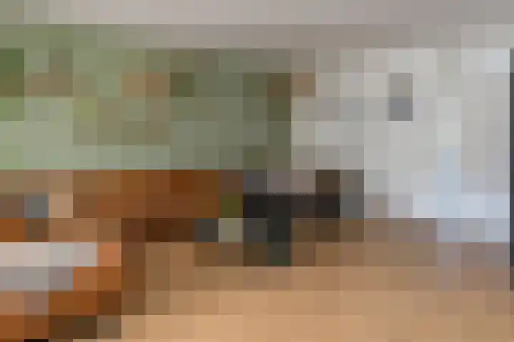 Bronsgietersdonk 417 Apeldoorn thumbnail 10