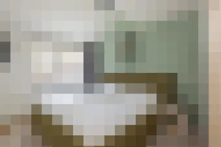Bronsgietersdonk 417 Apeldoorn thumbnail 13