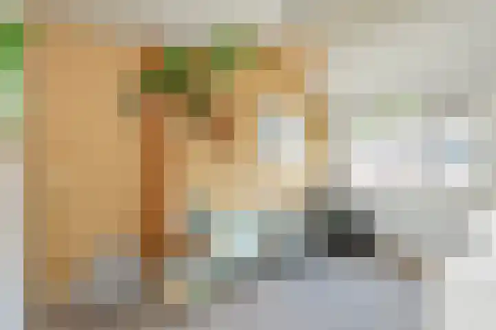 Bronsgietersdonk 417 Apeldoorn thumbnail 14
