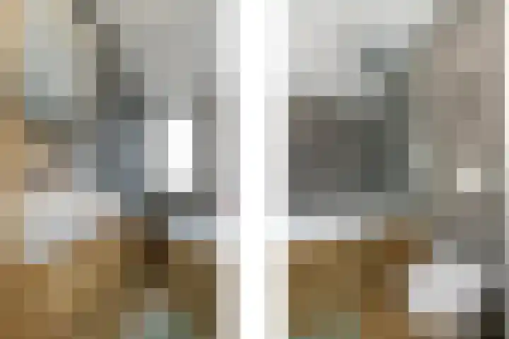 Bronsgietersdonk 417 Apeldoorn thumbnail 15