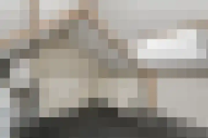 Bronsgietersdonk 417 Apeldoorn thumbnail 16