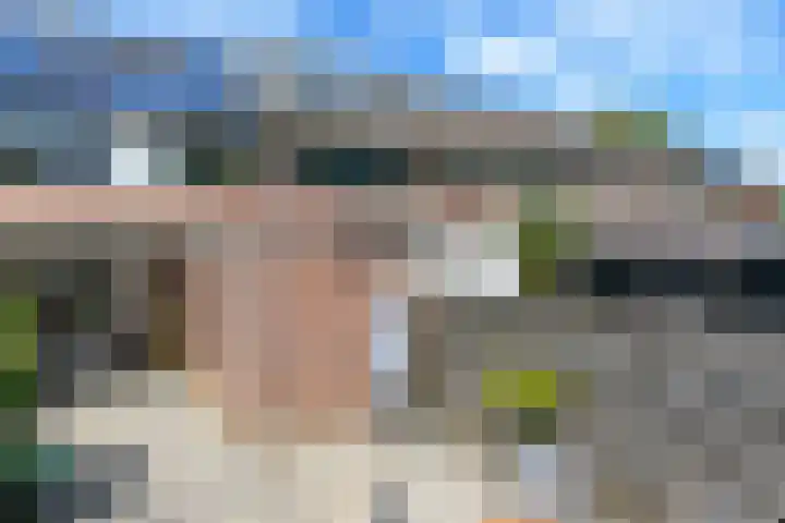 Bronsgietersdonk 417 Apeldoorn thumbnail 17