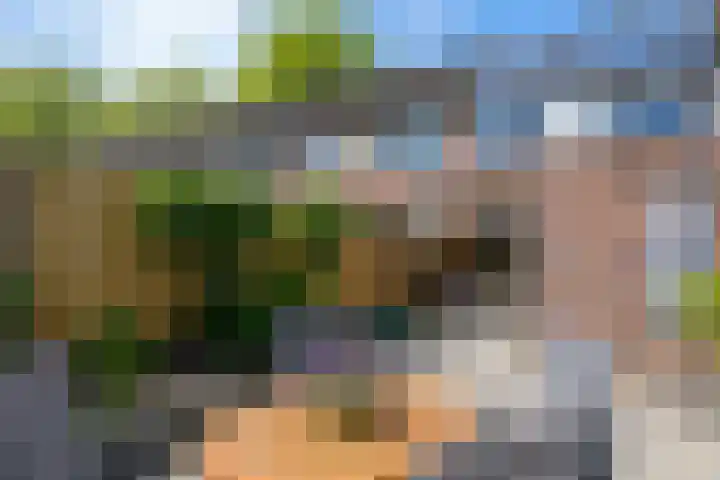 Bronsgietersdonk 417 Apeldoorn thumbnail 18