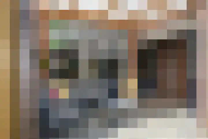 Bronsgietersdonk 417 Apeldoorn thumbnail 20