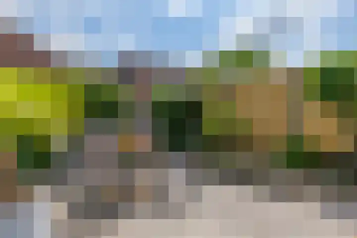 Bronsgietersdonk 417 Apeldoorn thumbnail 21