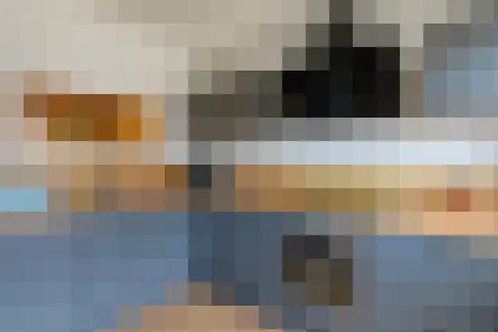 Bronsgietersdonk 417 Apeldoorn thumbnail 6