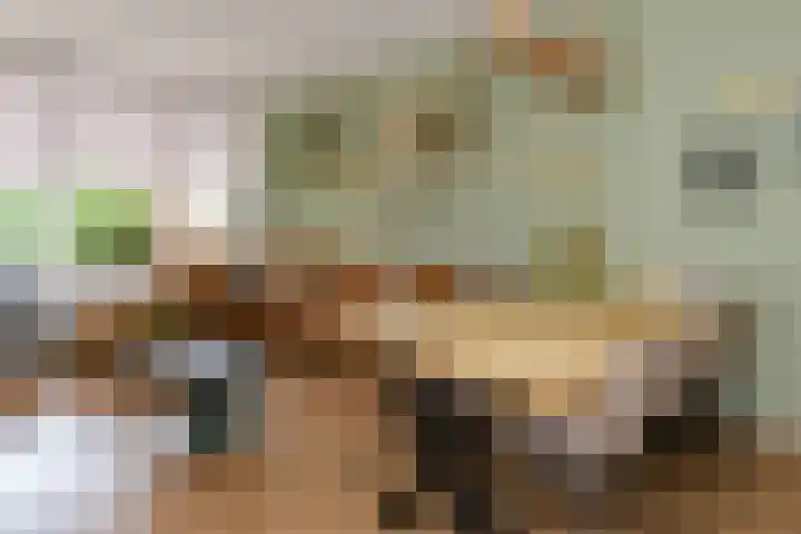Bronsgietersdonk 417 Apeldoorn thumbnail 8