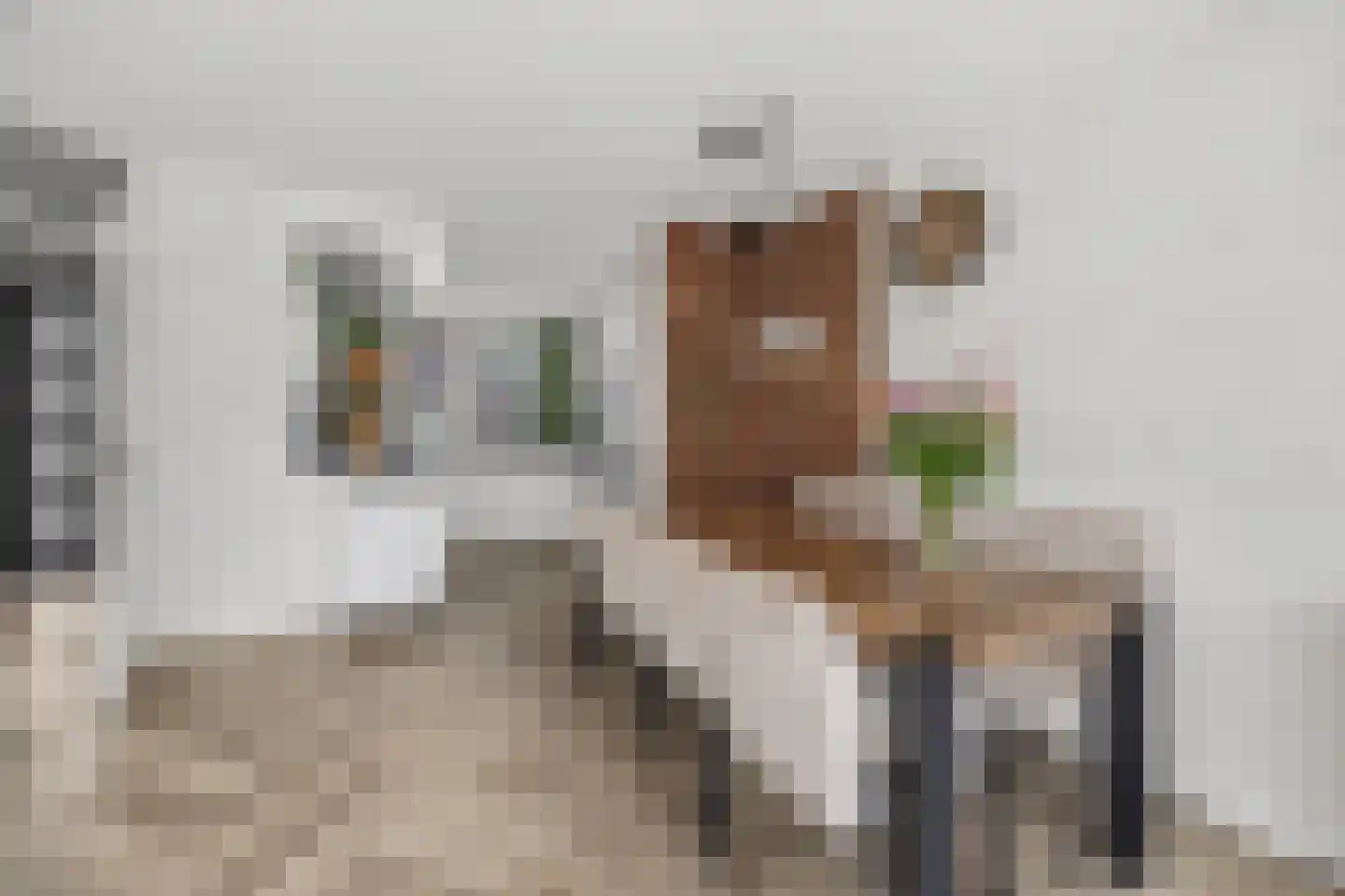 Bronsgroen 20 Zoetermeer thumbnail 10