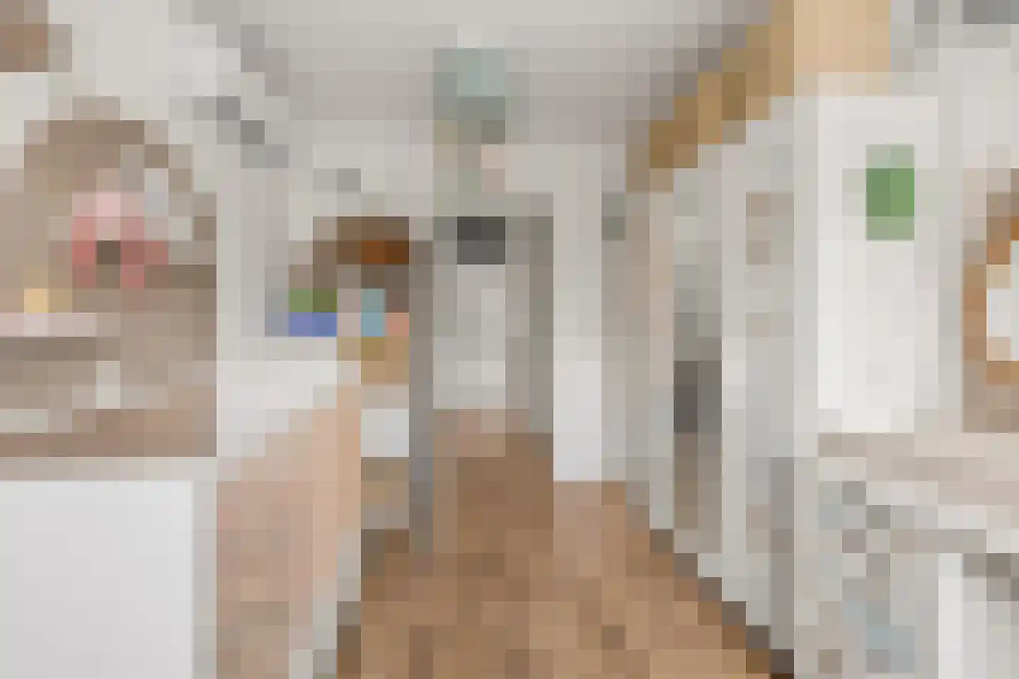 Bronsgroen 20 Zoetermeer thumbnail 29